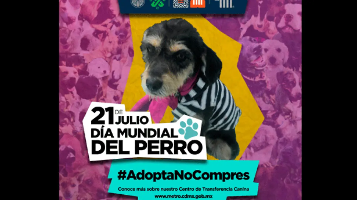 adopta-no-compres