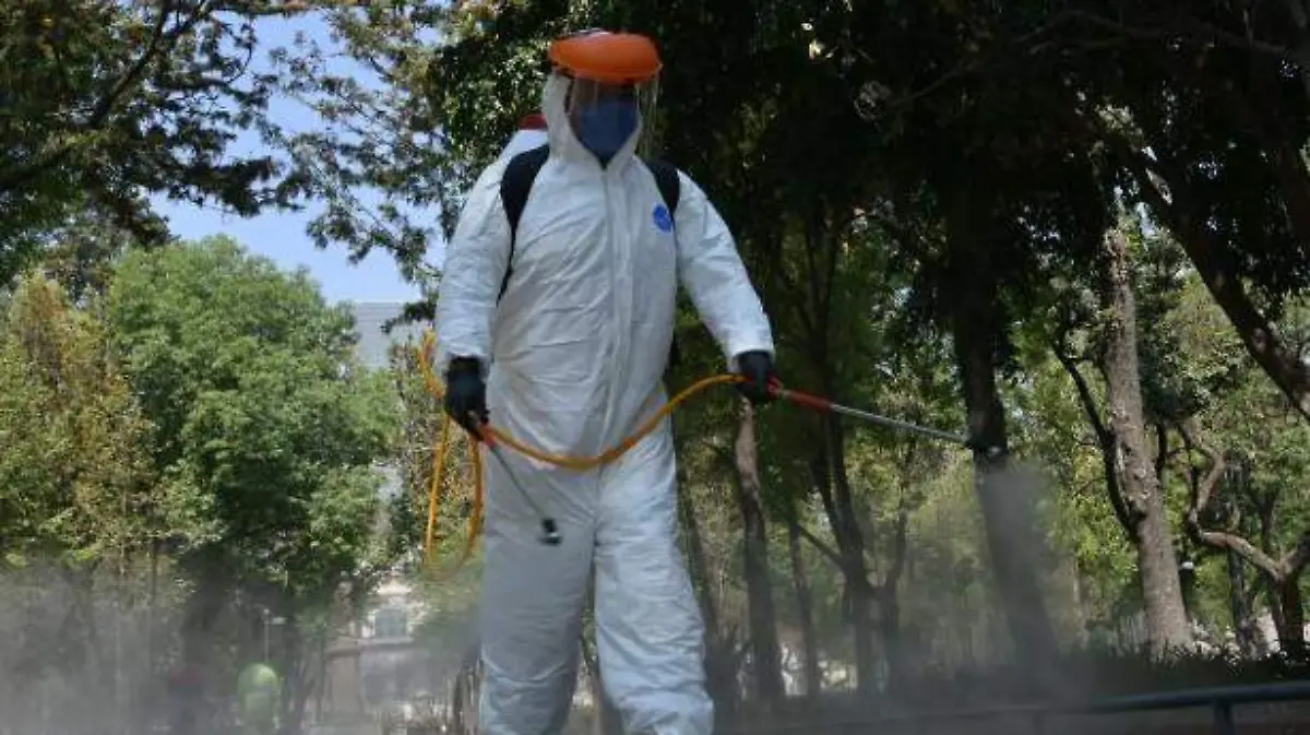 sanitizacion-alameda-3-1