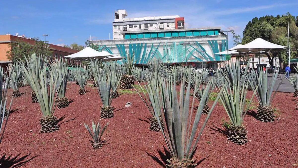 Plaza-Garibaldi-portada