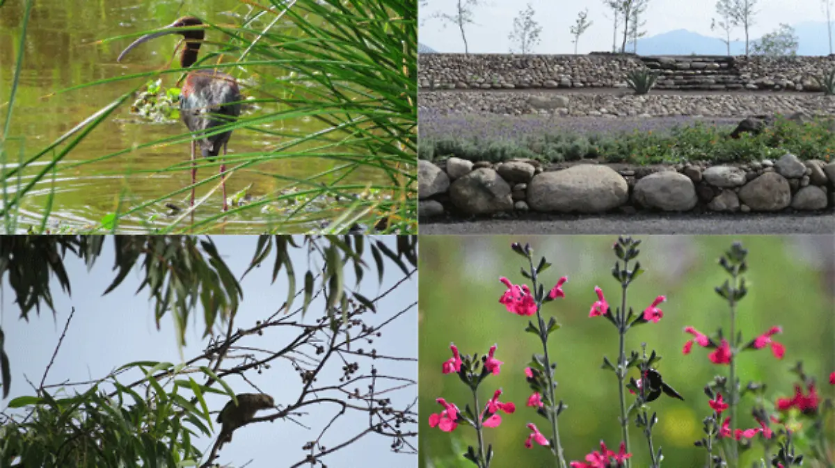 proyecto-biocultural-La-Brecha-