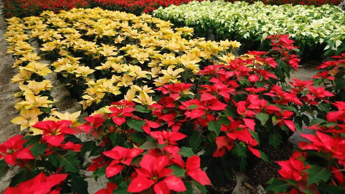 WhatsApp Image 2021-11-07 at 1.56.45 PM