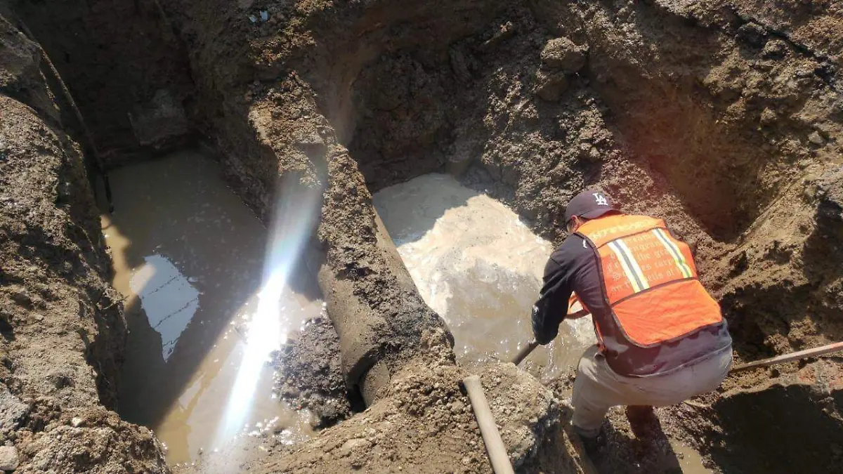 WhatsApp Image 2021-10-20 at 3.51.02 PM