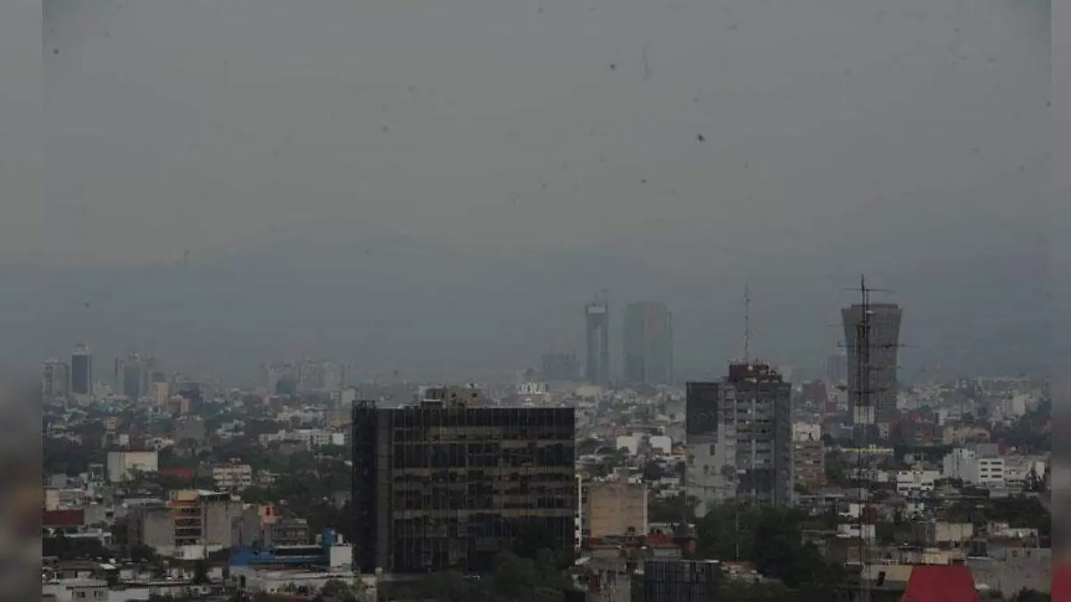 Contaminación