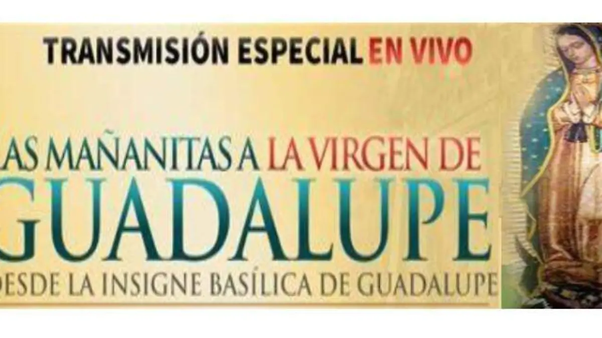 virg2
