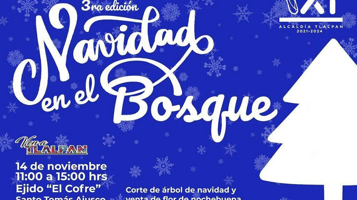 Arboles de navidad en Tlalpan