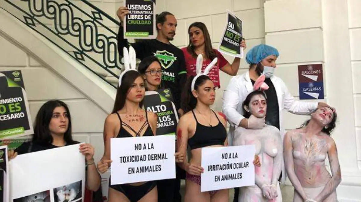 Alto-al-maltrato-animal