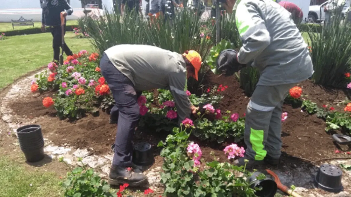 Rescata-Xochimilco-producción-de-chinamperos