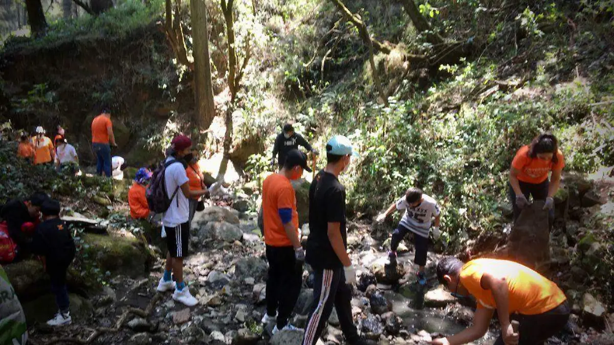 2e48e331-6cbb-4a33-abb9-a97518c53e54