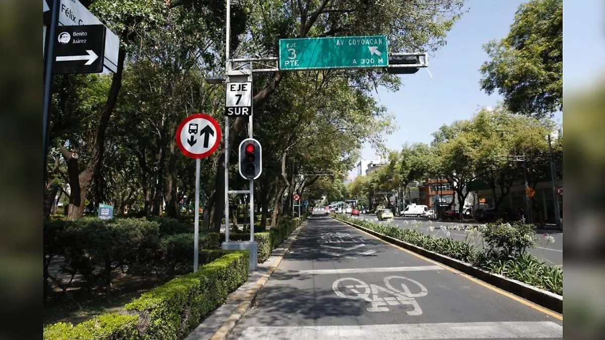trole bici CORTESIA