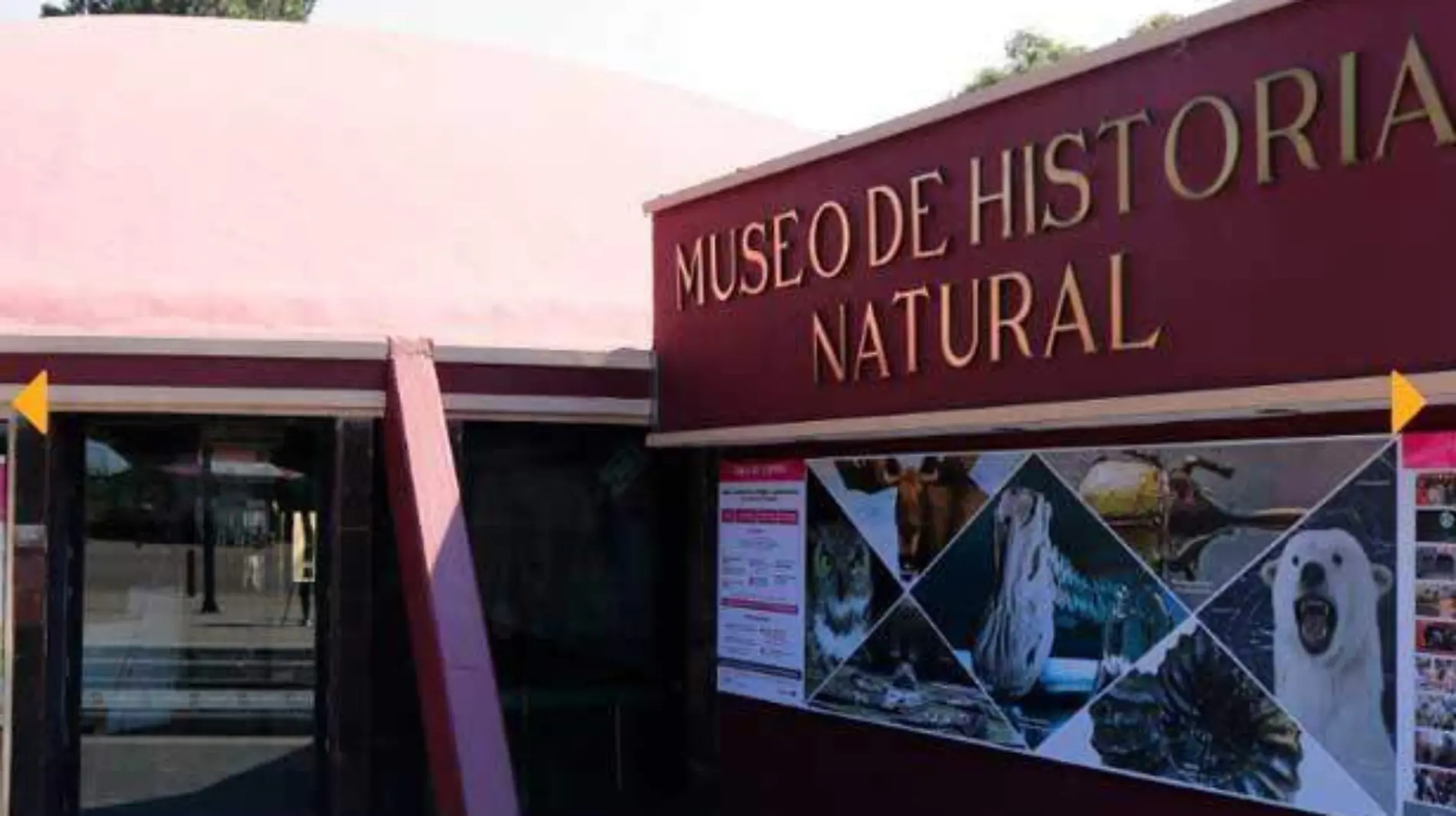 museo-