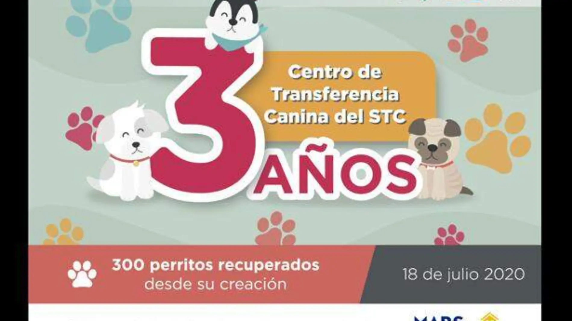 Centro-de-transferencia-canina