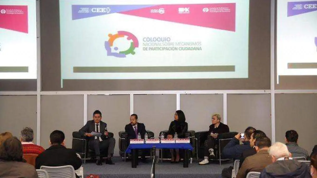 implementación de la Consulta de Presupuesto Participativo (2)
