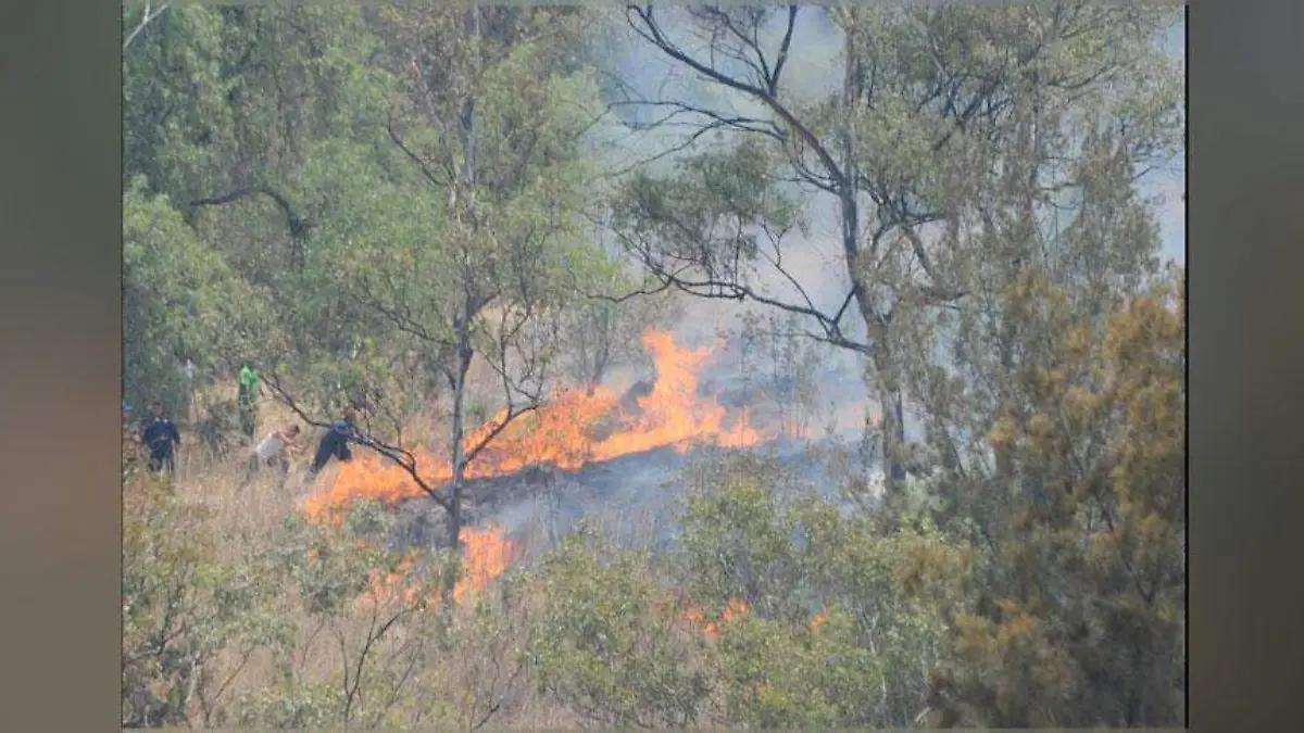 incendios