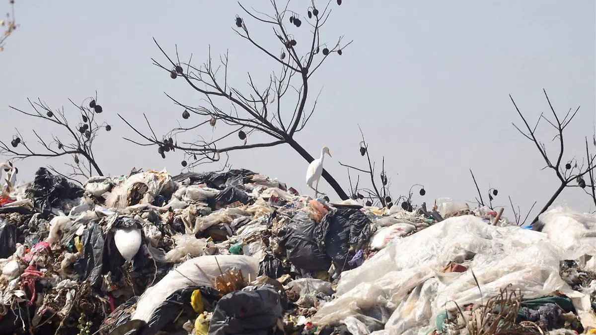 926222_Tiradero Oaxca-3_web