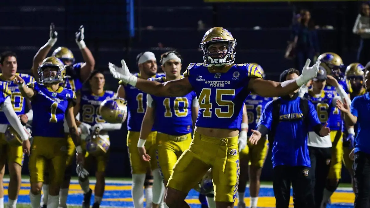 17b37732-e3a4-4a64-85d3-632846b47e36