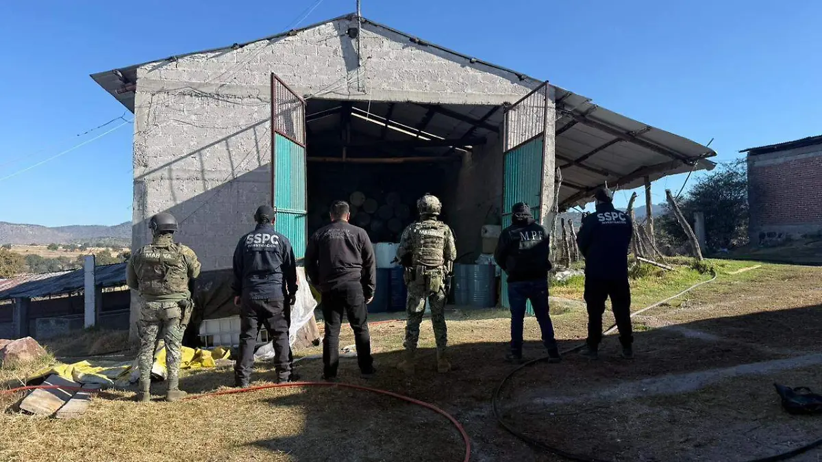 WhatsApp Image 2025-01-26 at 6.41.47 PM