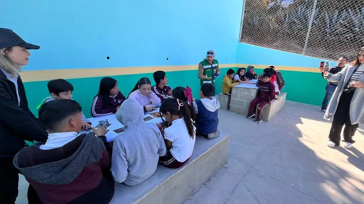 WhatsApp Image 2025-01-27 at 2.10.33 PM