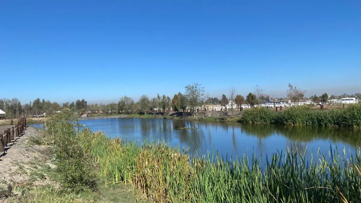 Captura de pantalla 2025-01-28 183408