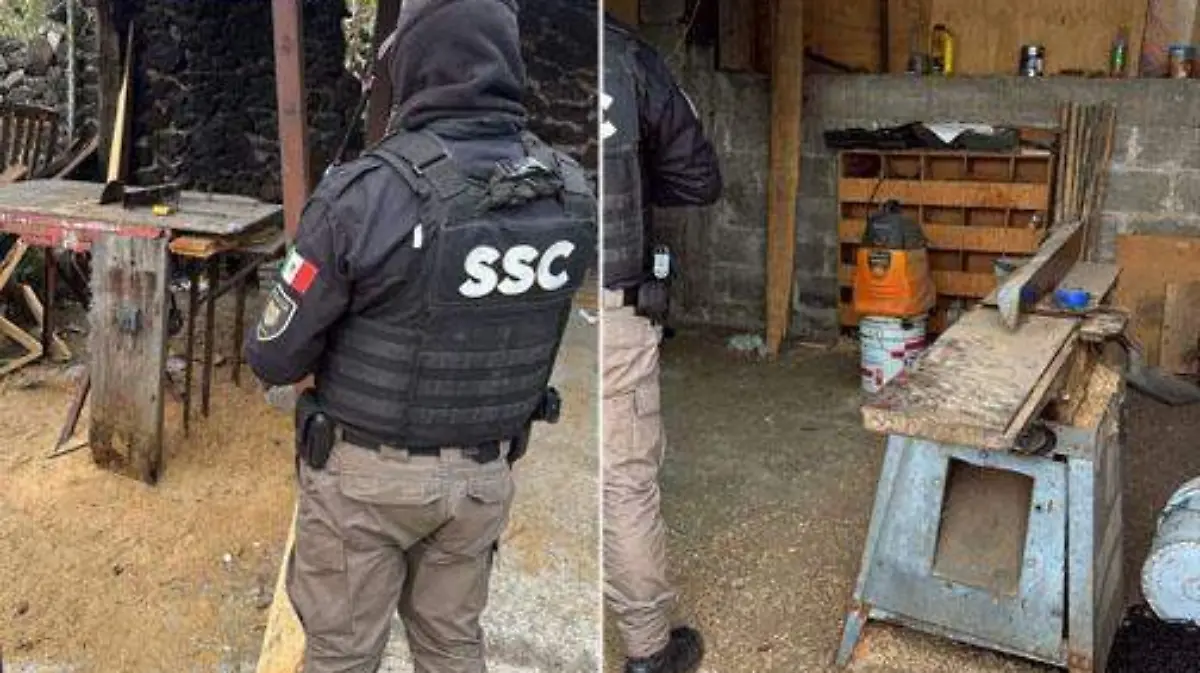 Desmantelan dos aserraderos irregulares en Topilejo