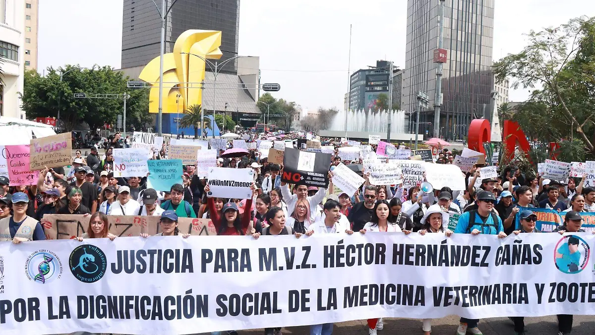 veterinarios 4