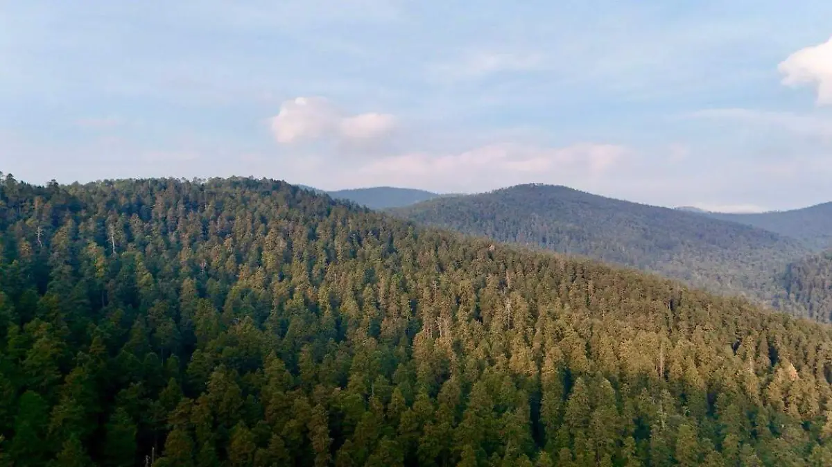 Reactivan el Parque Ecoturístico La Cañada en Tlalpan