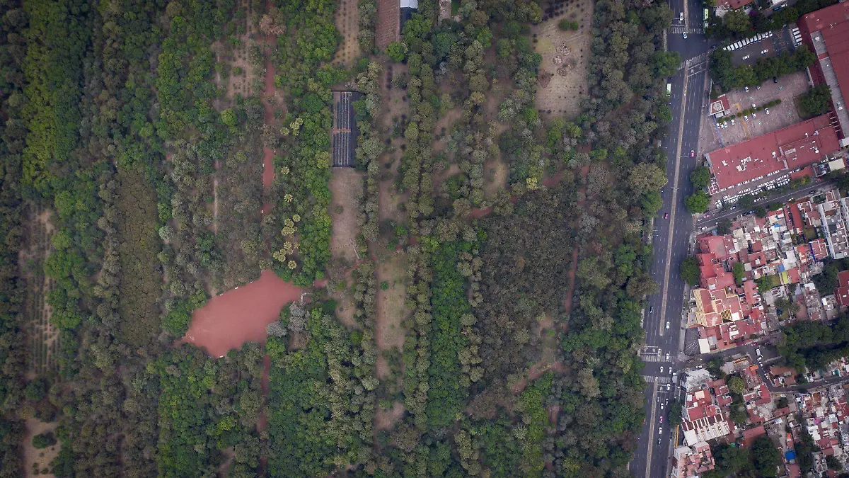 761441_Aérea de los Viveros_ a partir de mañana abrirán parques_web