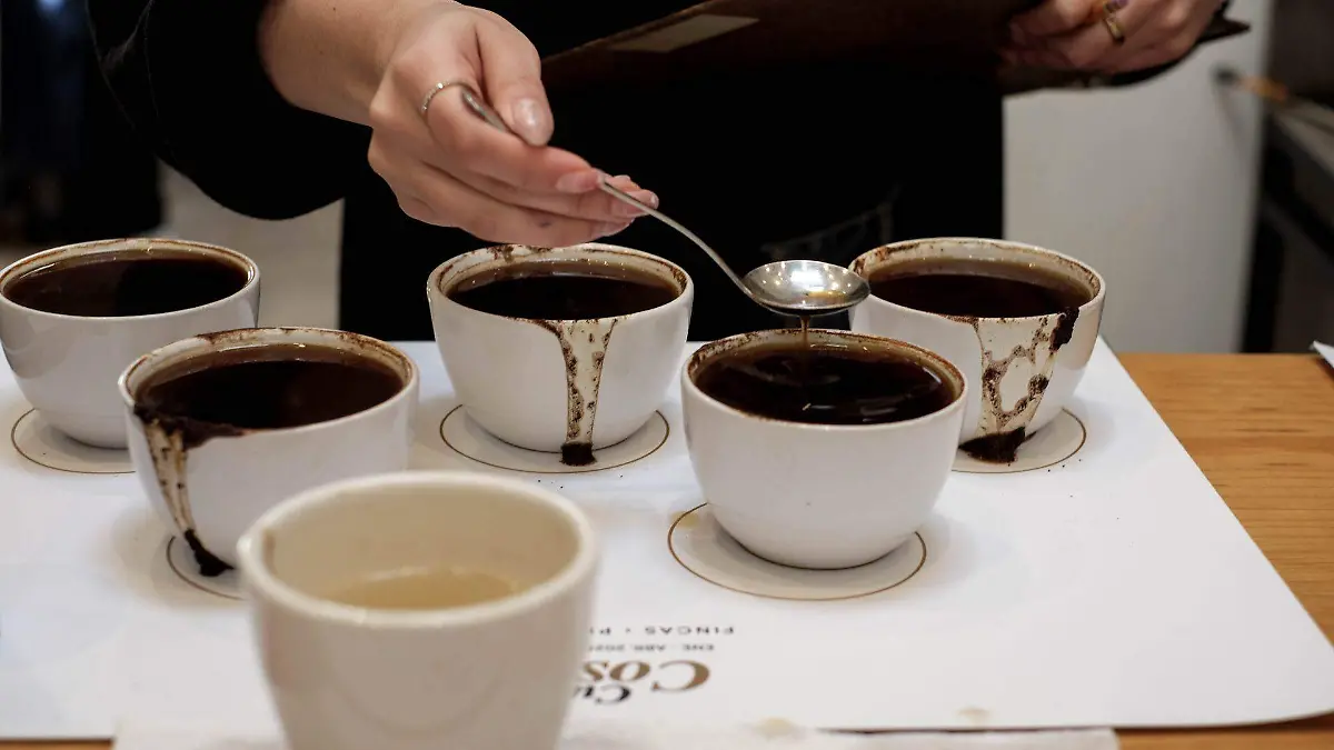 1019218_Chiapas La Ruta del Café_web