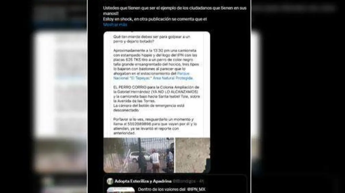 Acusan a personal del IPN de maltrato animal