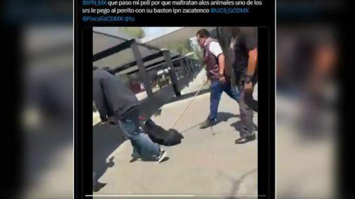 Acusan a personal del IPN de maltrato animal