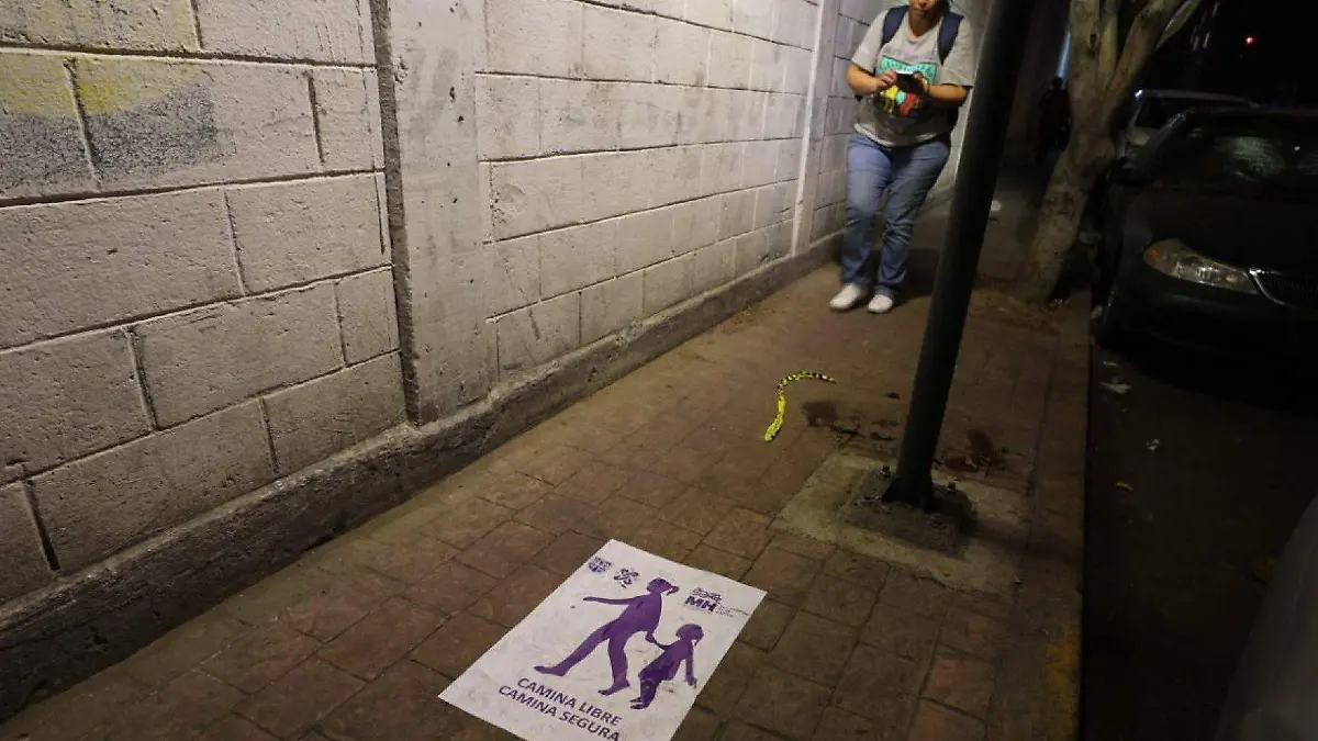 784850_Sendero Seguro_web