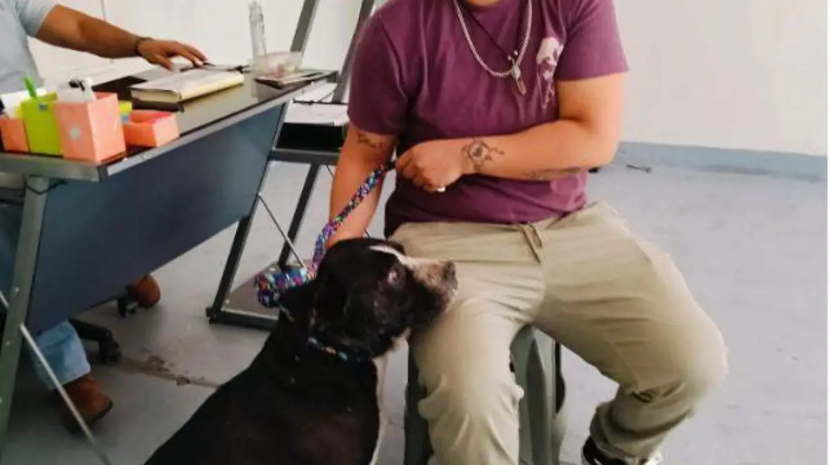 Retiran a manada de perros ante temor de vecinos de Ecatepec 