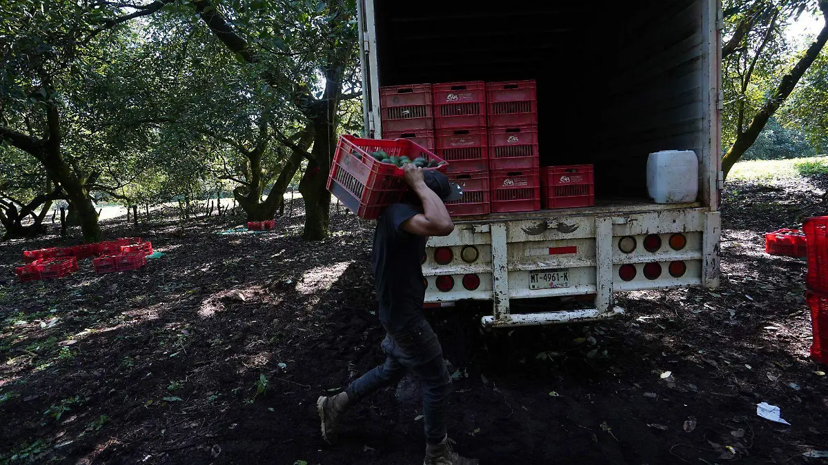 México, uno de los principales proveedores de alimentos frescos a EU: SNAC 2