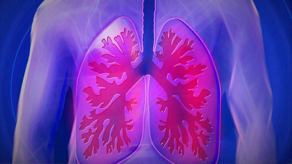 pulmones PIXABAY
