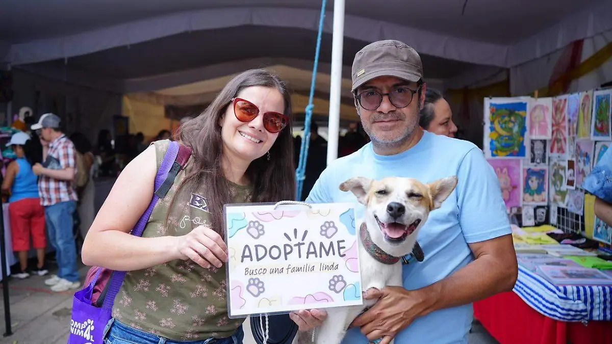 Segundo Adoptatón de perros y gatos, un éxito en el Bosque de Chapultepec
