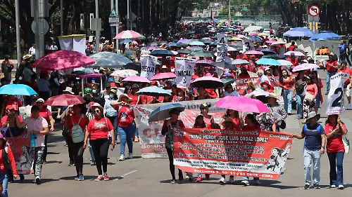 marcha maestros david deolarte  (3)