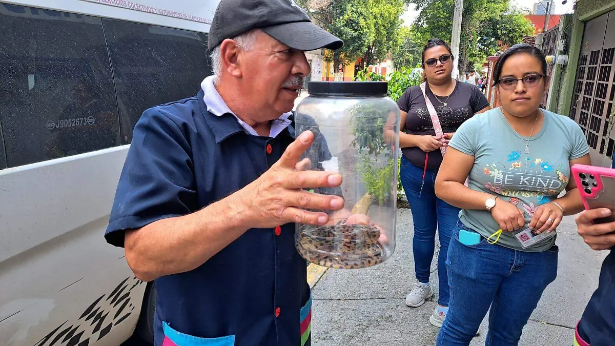 Serpiente sorprende a habitantes del centro de San Cristóbal Ecatepec