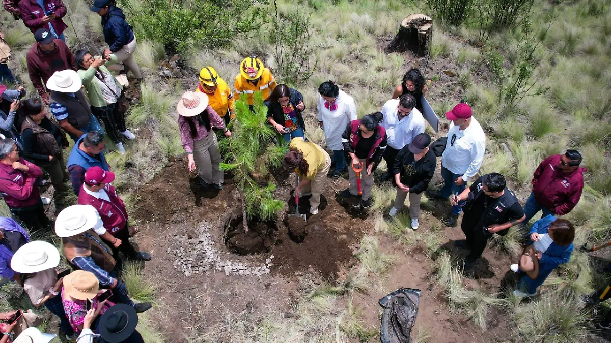 medio ambiente cdmx CORTESIA.4