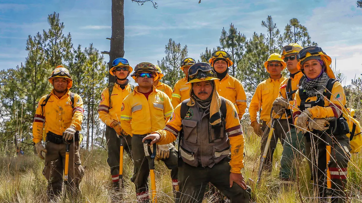 medio ambiente cdmx CORTESIA.2