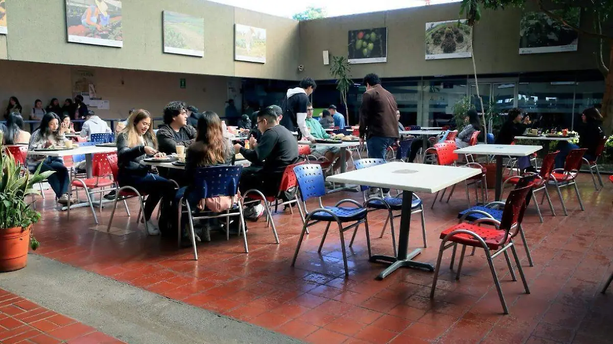 COMEDORES UAM1
