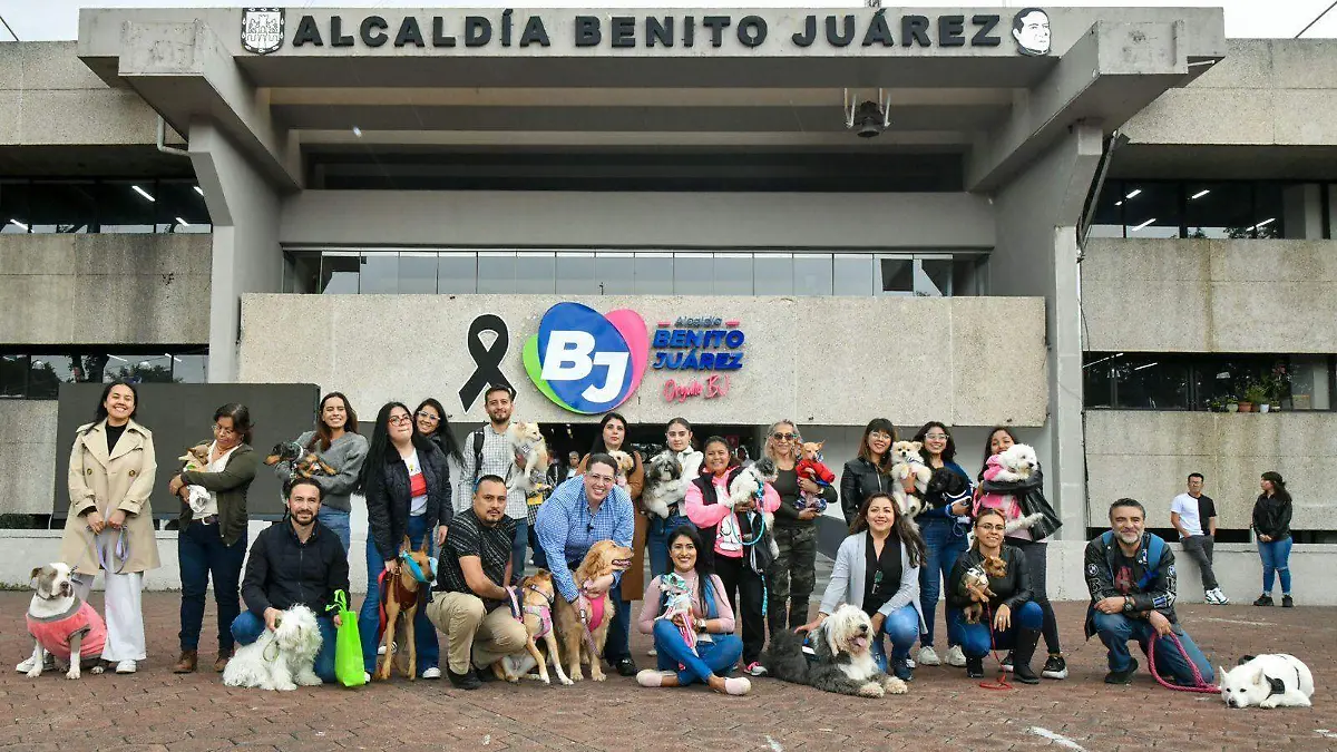 MASCOTAS BJ2