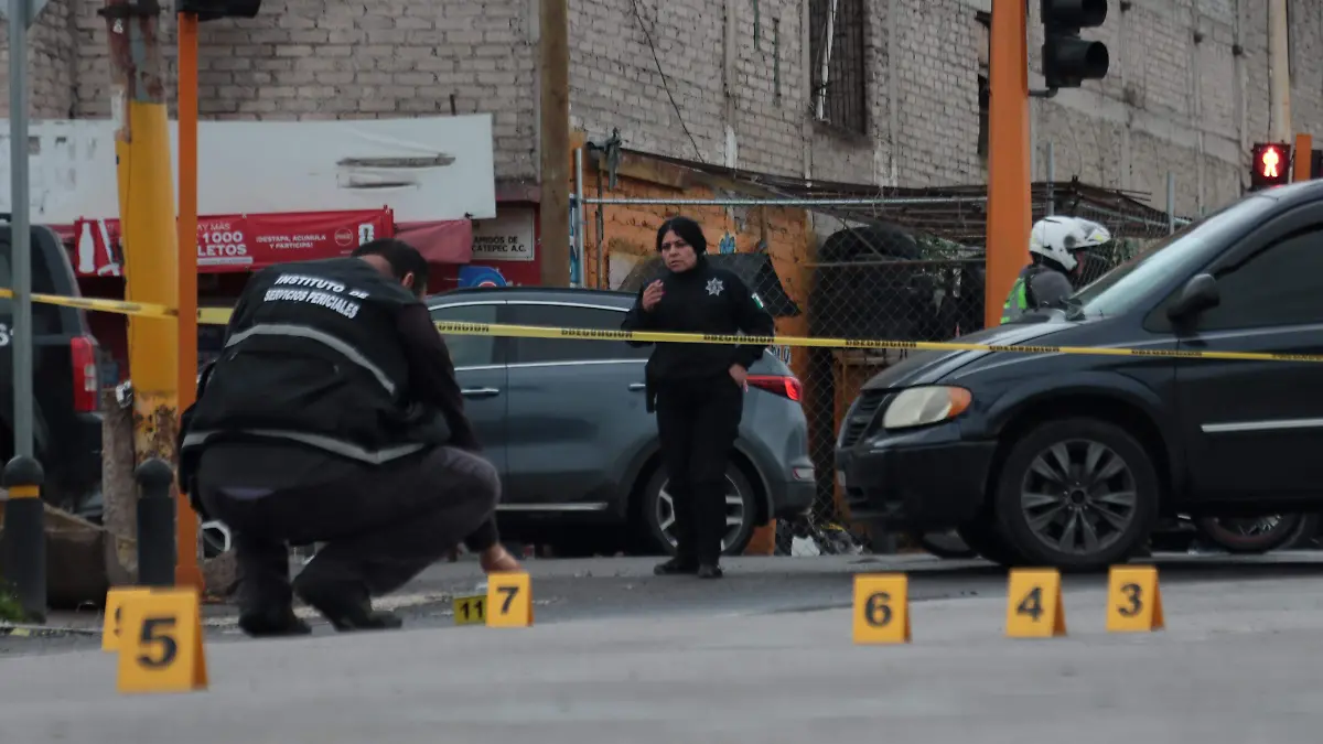 Plomiza en Ecatepec (2)