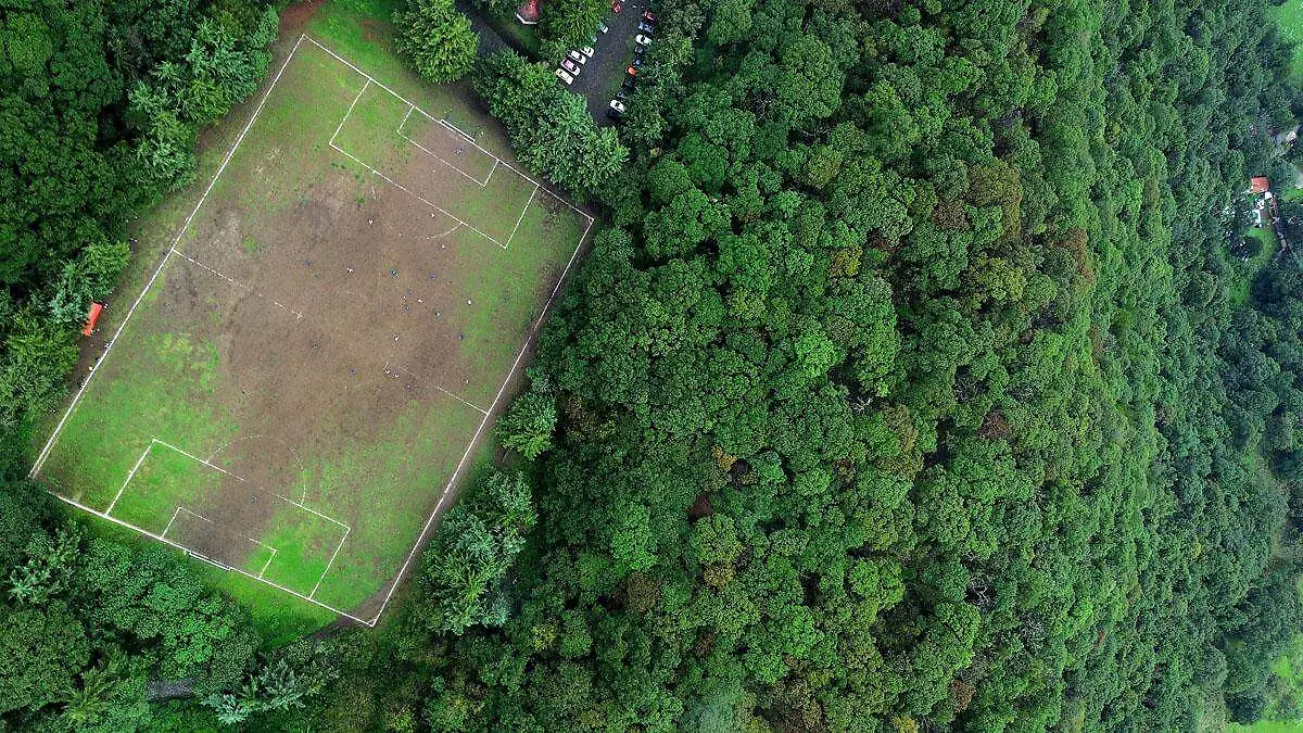 DJI_0495