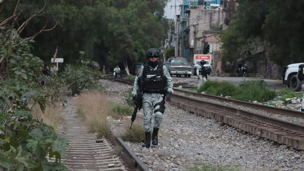 cuerpo vias tren tlalnepantla LUIS BARRERA.2