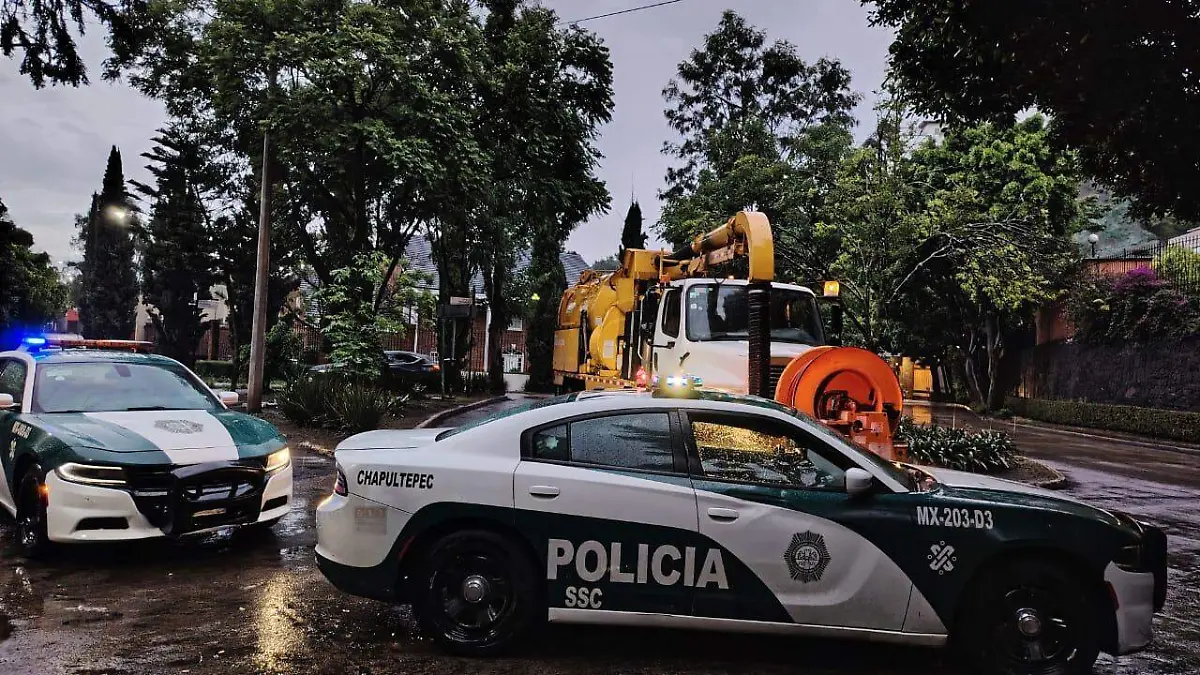 ab528091-736f-49ee-9549-ca7121590a08