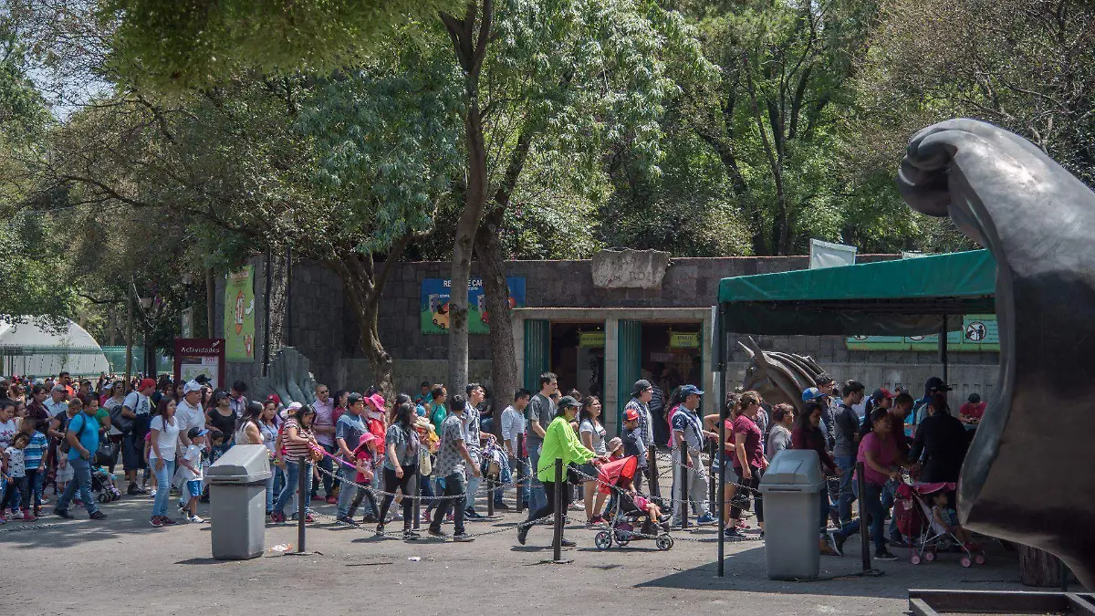 646384_Chapultepec Vacacionistas_web