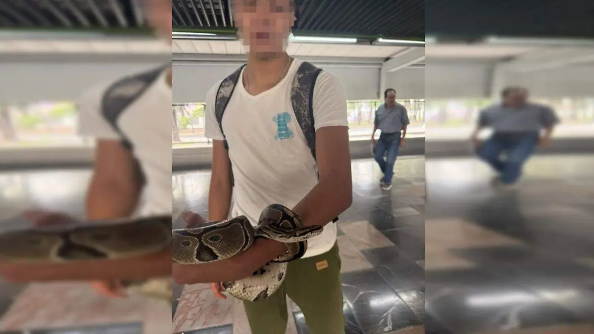 Joven detenido en el Metro por tener una serpiente