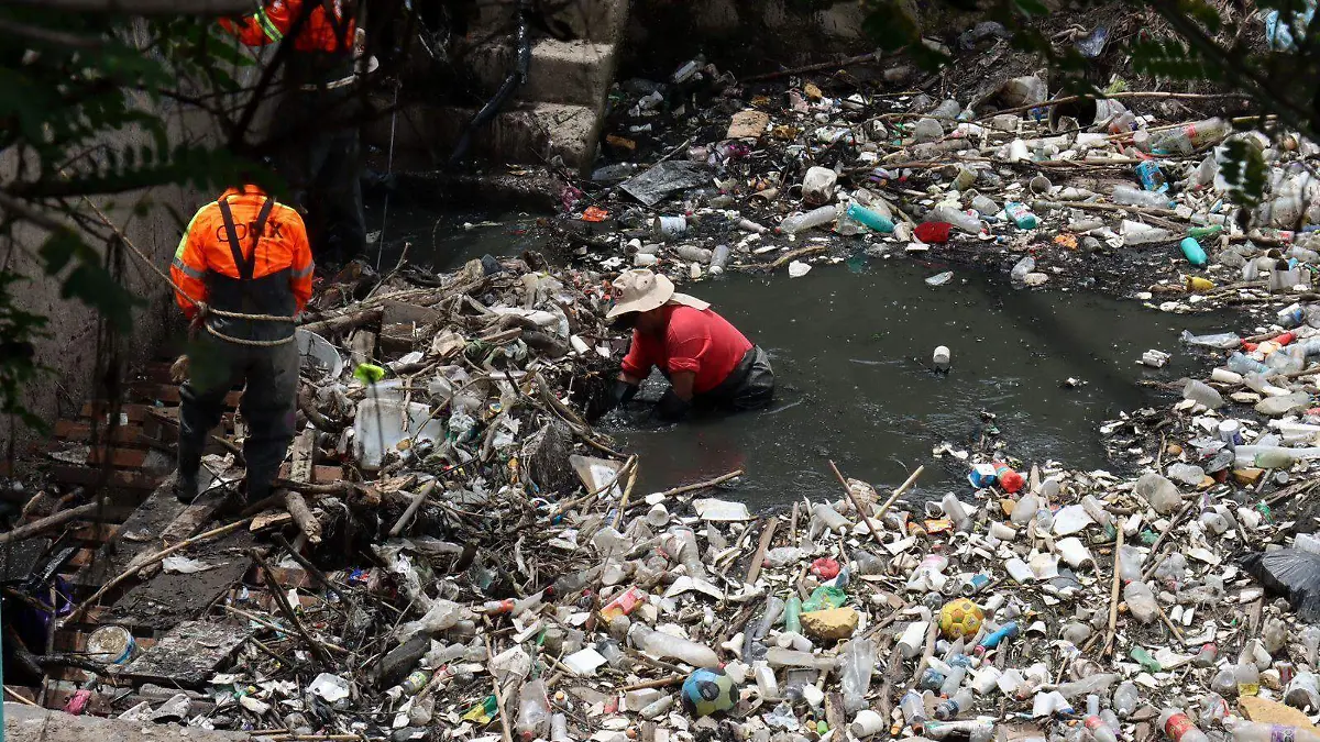 Prisa Río Becerra  (1)