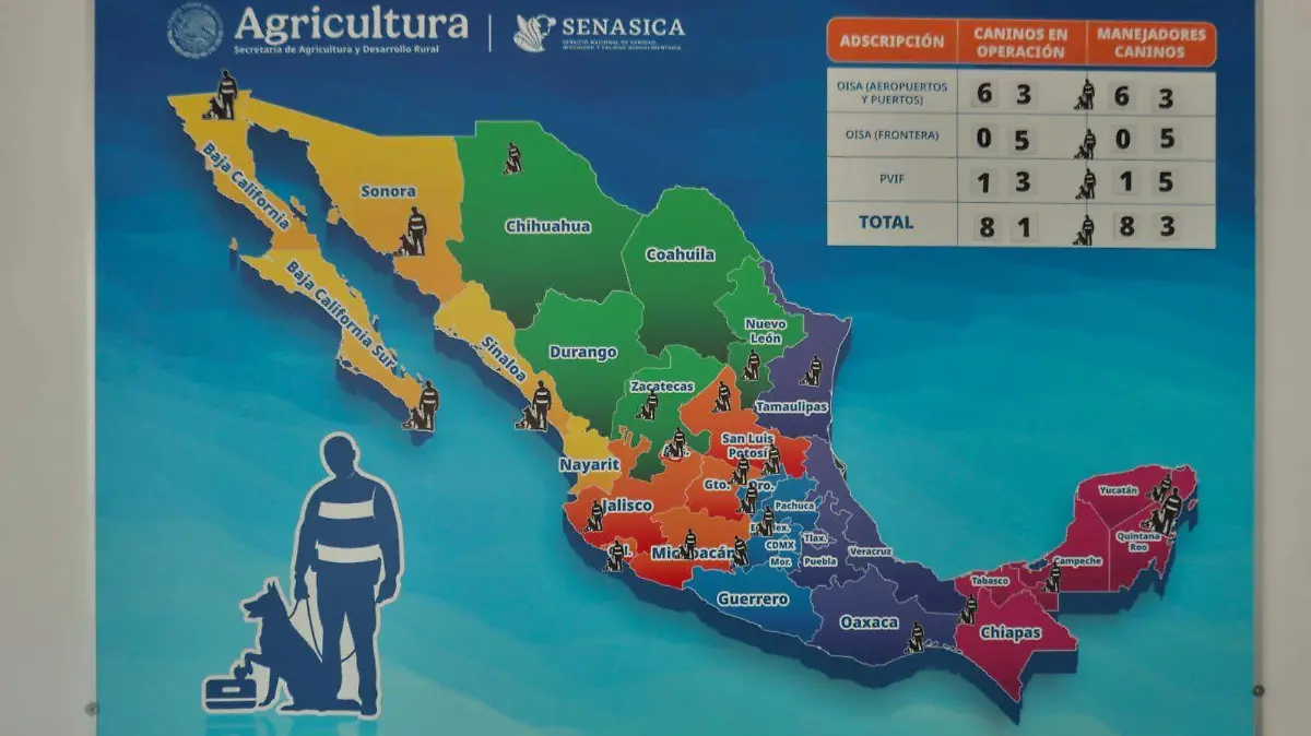 perritos senasica GUILLERMO PANTOJA.4. 