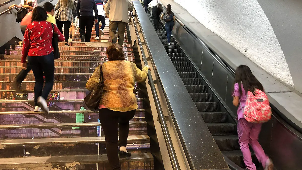 695034_Escaleras Metro Lineas_impreso