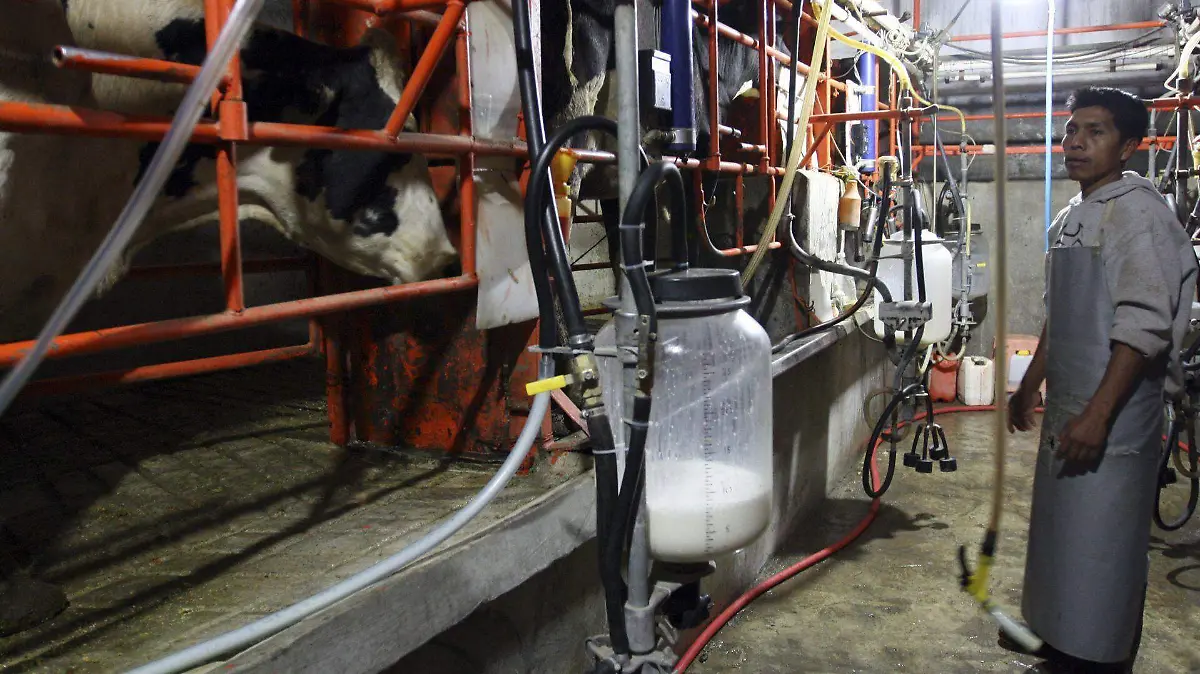 370051_Preveen Aumento Leche_web